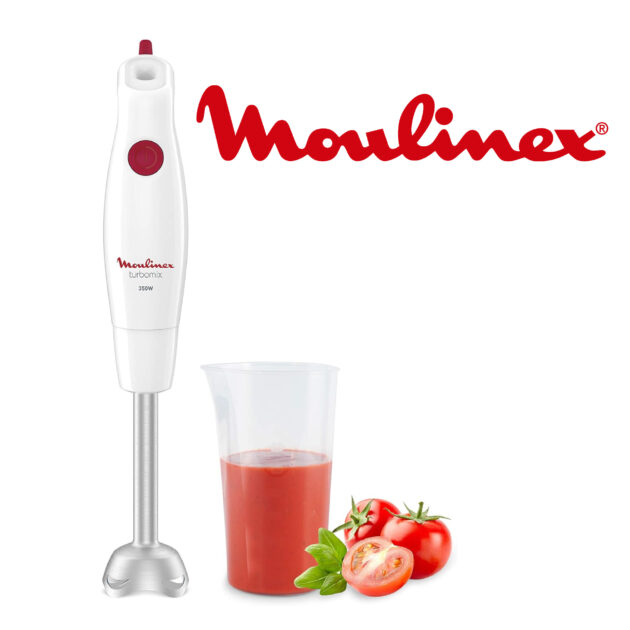 Moulinex Turbomix+ Mixeur plongeant 350W DD1211