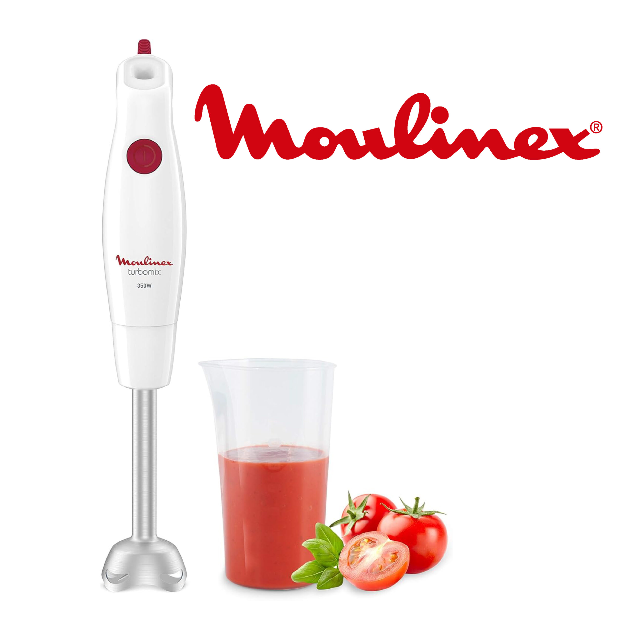 Moulinex Turbomix+ Mixeur plongeant 350W DD1211